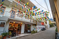 The Trippy Tribe | Private Rooms & Dorms, Barot