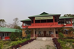 Grasshopper Jungle Queen, Jaldapara