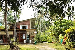 Gypsy Divers Dive Resort, Havelock