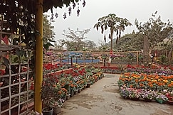 Namaste Atithya Resort, Cherrapunji