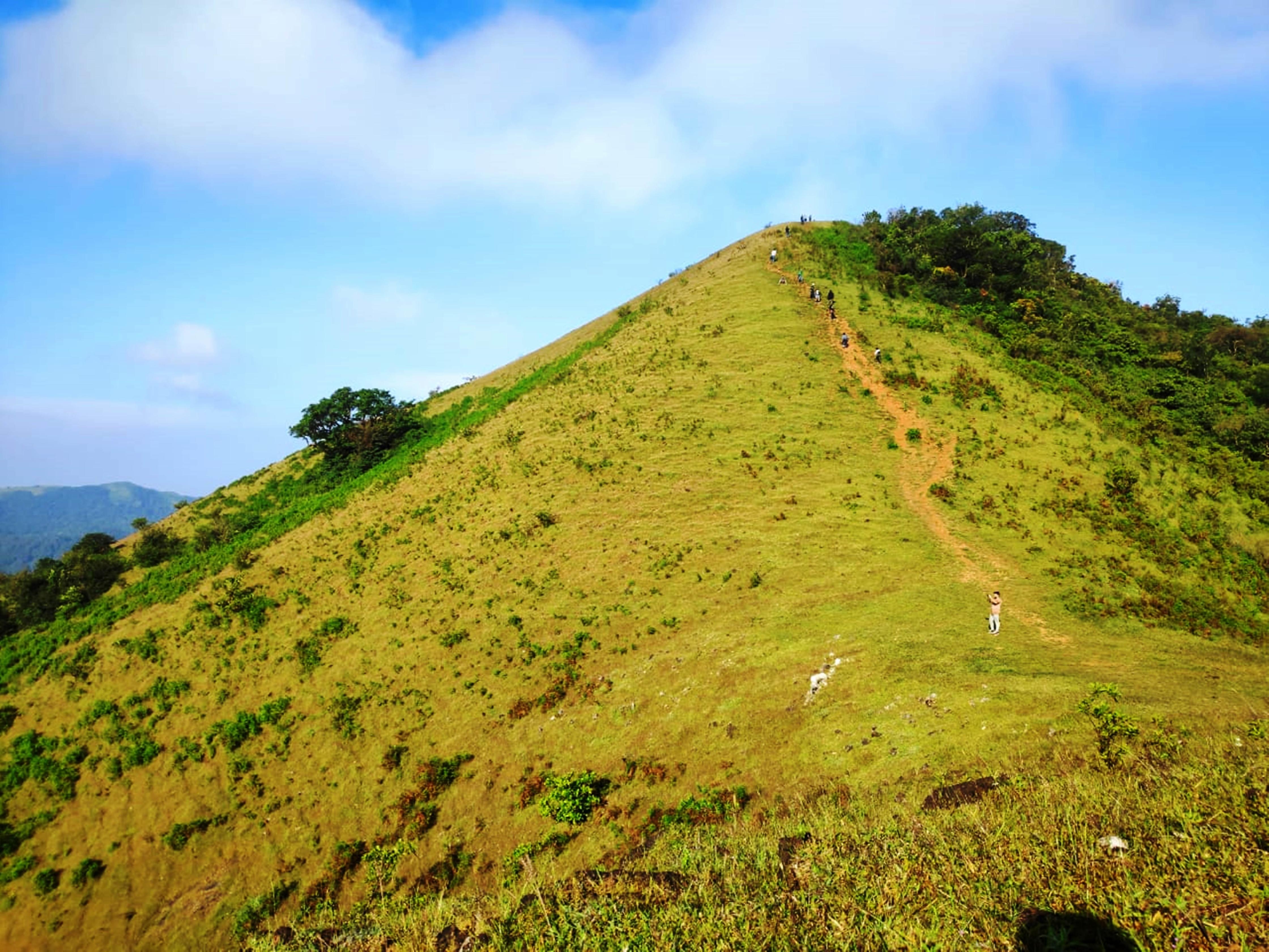 Stepping Stone Homestay - Tap to explore photos