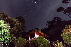 Nantin Baba Resort, Bhowali