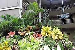 Om Leisure Resort (Chilika) - Satapada, Chilika Lake