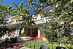 Hinjuma Guest House, Leh