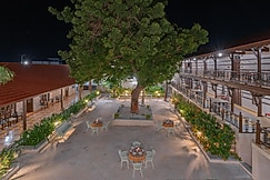 Tree of Life Darbargadh, Dared, Talaja