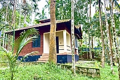 Rendez Vous Jungle Resort, Wayanad