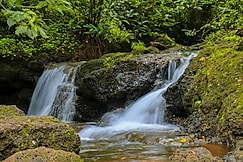 The Moonlit Stream - An Eco Stay, Goa