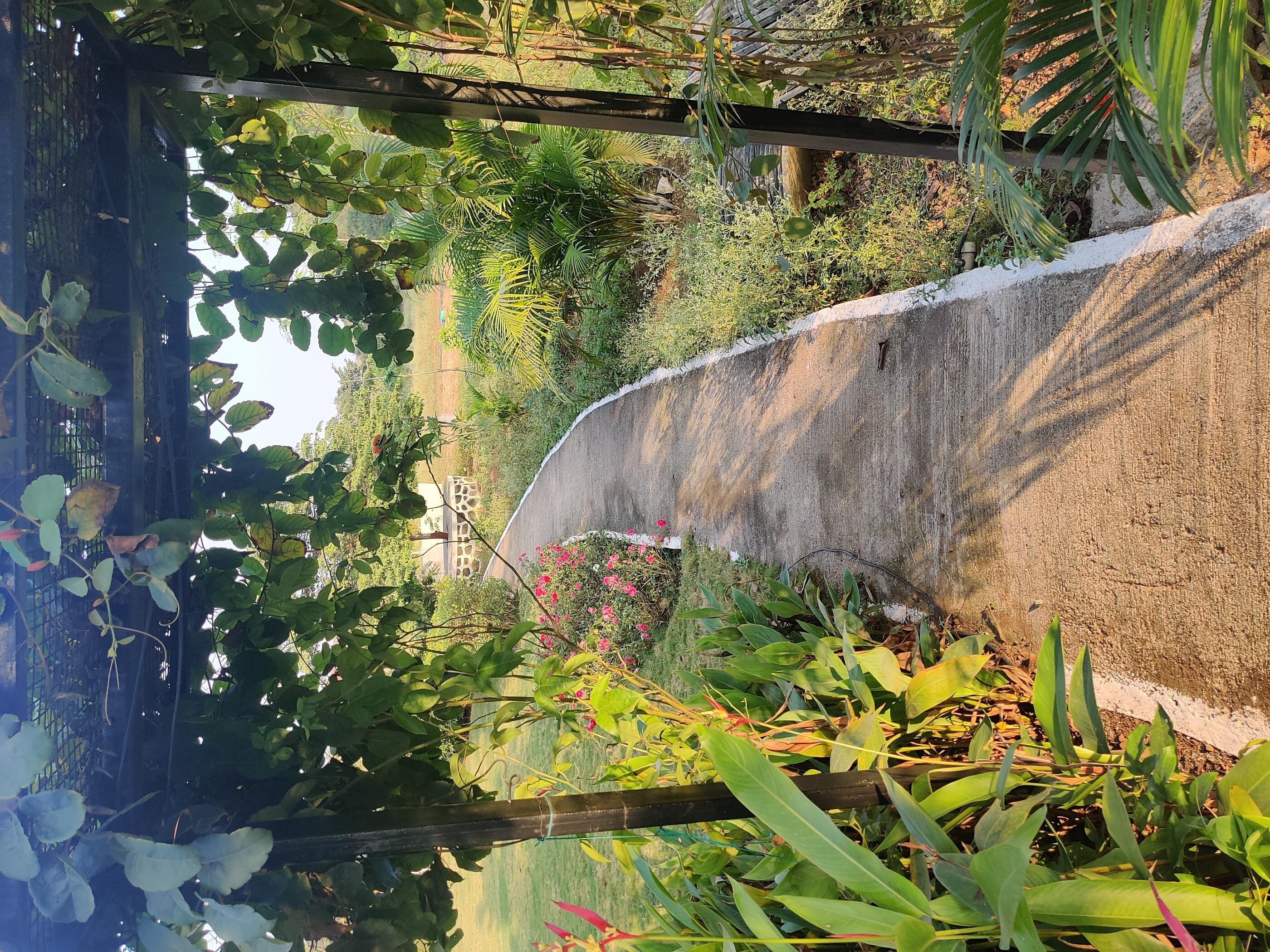 Bhagyashree Farms - Tap to explore photos