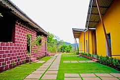 Rain Forest Farm, Bavda