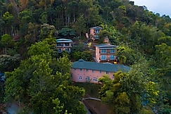 THE VIOLET THEKKADY