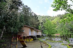 Aaroham Resort Shimla by Aamod Group, Solan