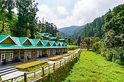 Backwoods Retreat, Shimla