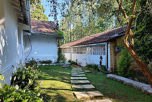 Tipperary Bamboo Villa
