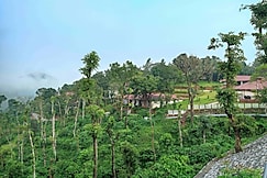 Tapovana The Fern Heritage Resort, Sakleshpur, Coorg