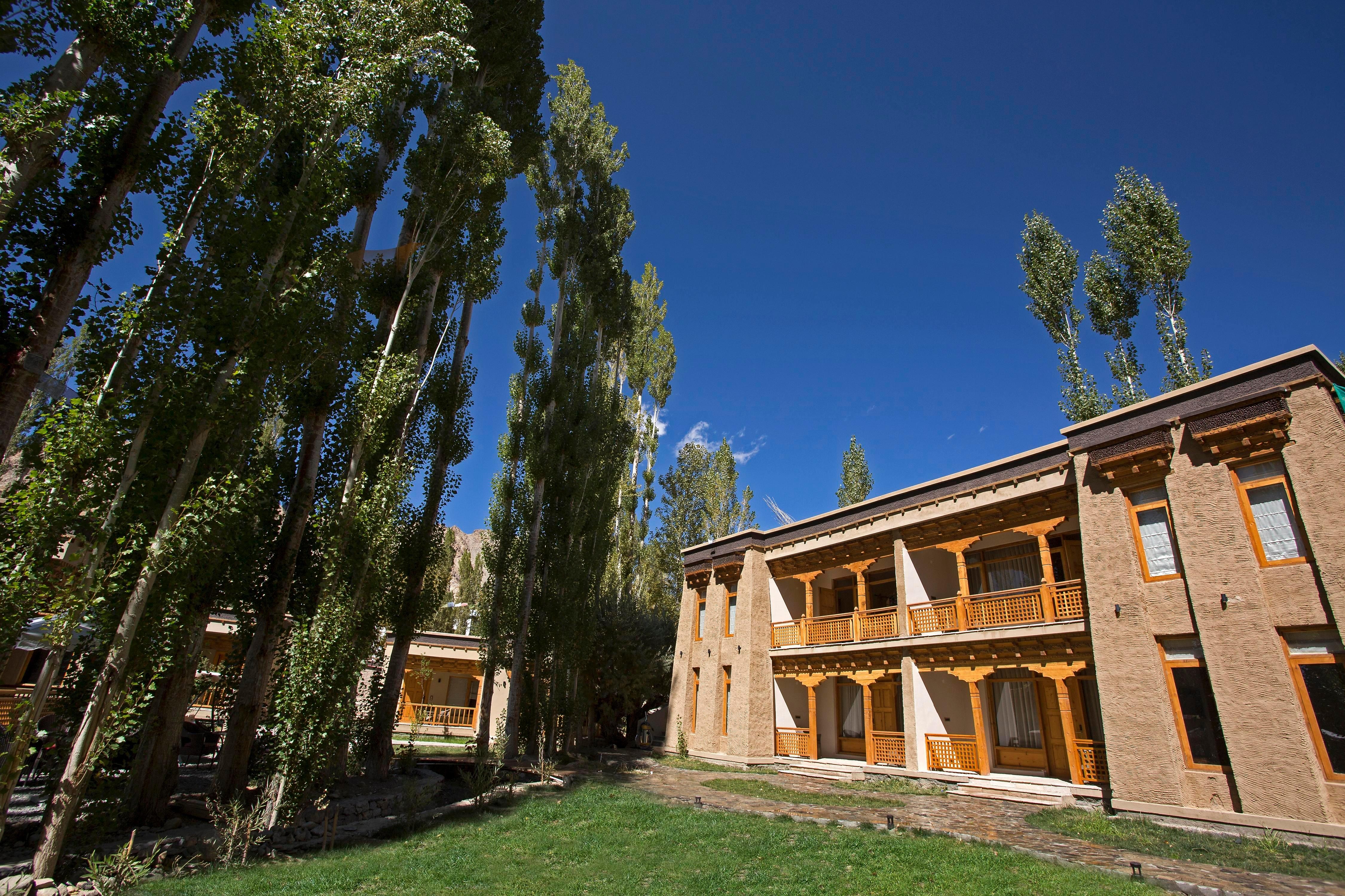 Photo 5