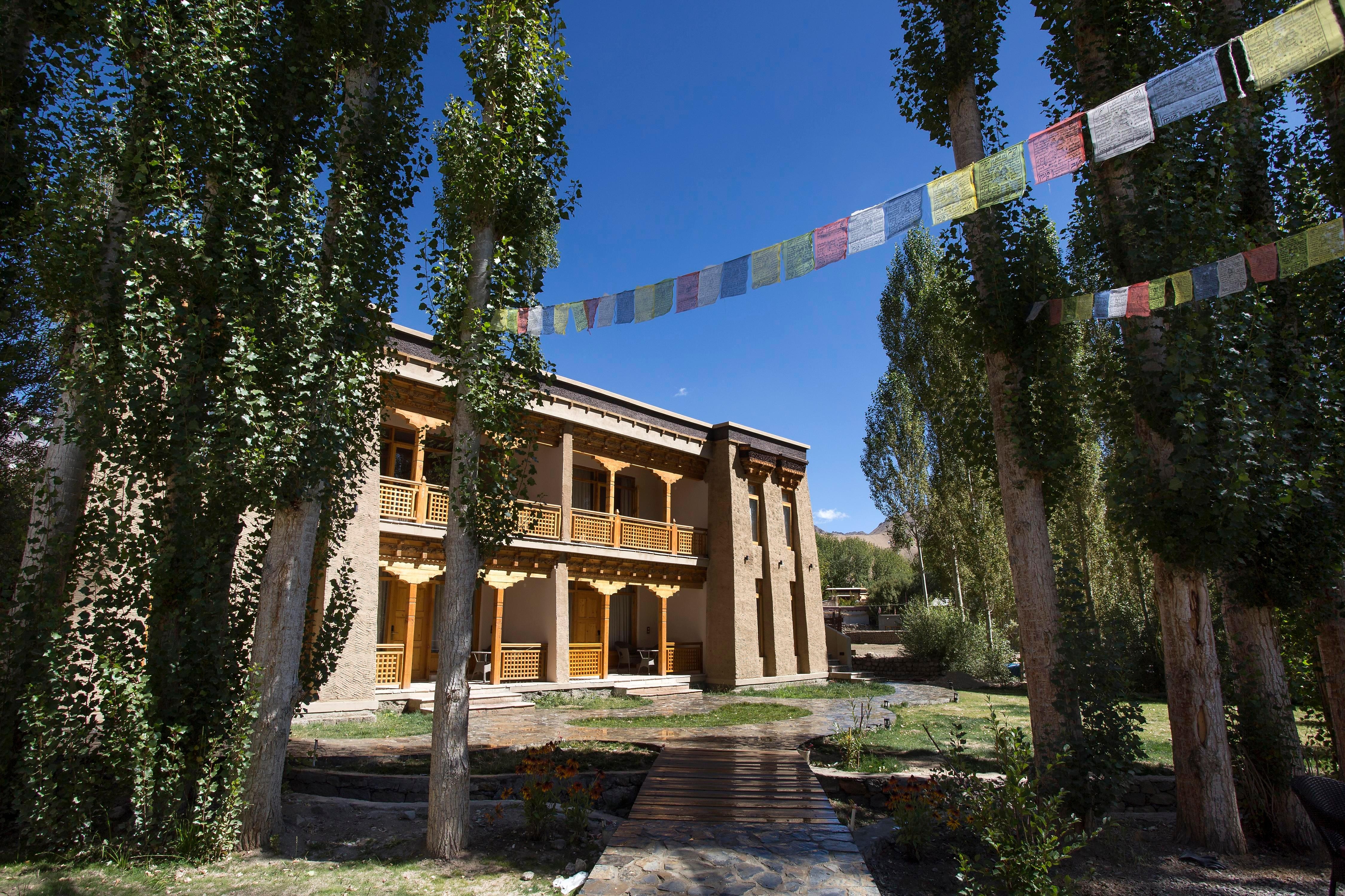 Photo 6