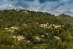 Amaya Kasauli, Arki