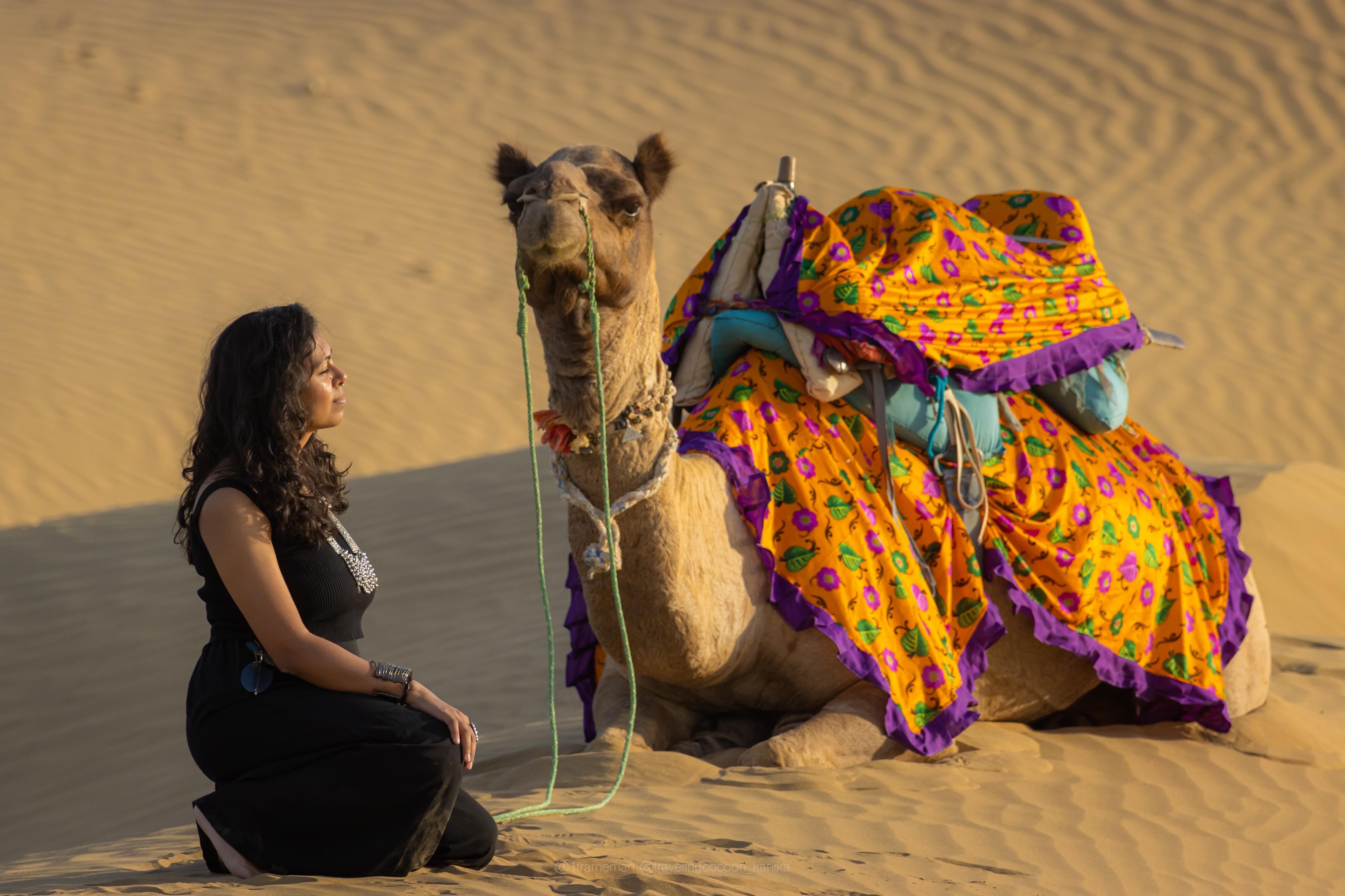 MARVIN DESERT CAMP & RESORT - Tap to explore photos