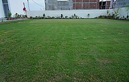 Outdoors