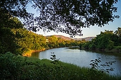 Golden Fields Resort, Pune