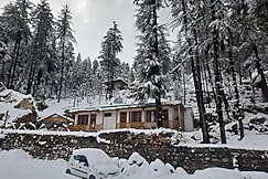 Vansh Green View Homestay, Sainj