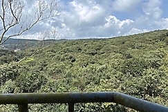 The Olive Green, Mahabaleshwar