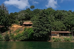 Laughing Elephants, Sagara