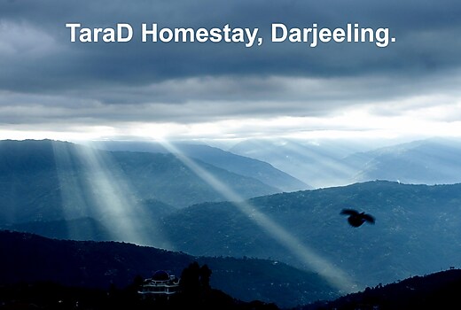 TaraD Homestay.