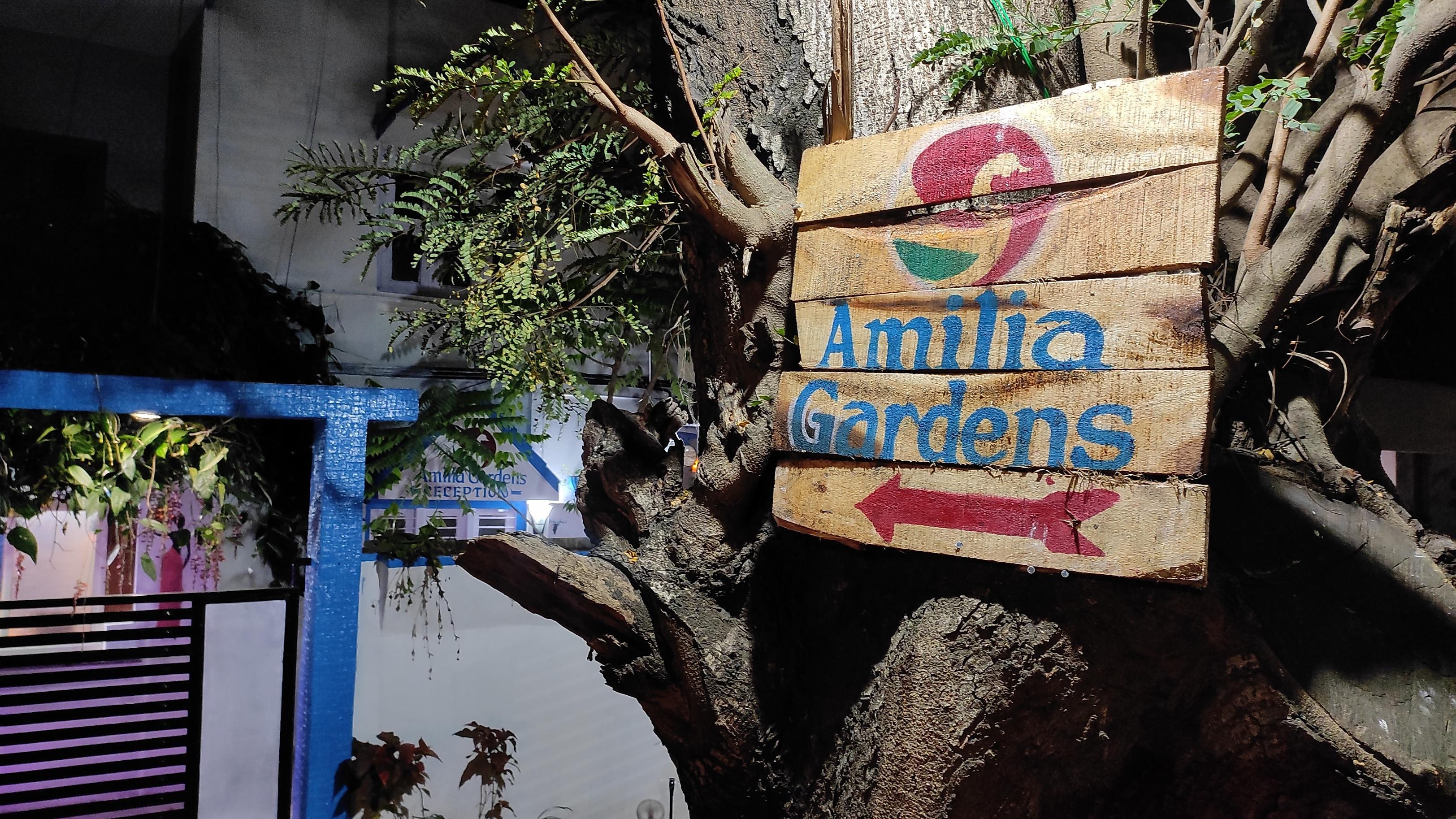 ADH Amilia Gardens - Tap to explore photos