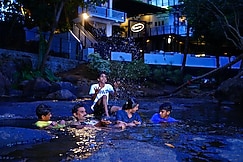 Palatty's Resort, Chalakudy