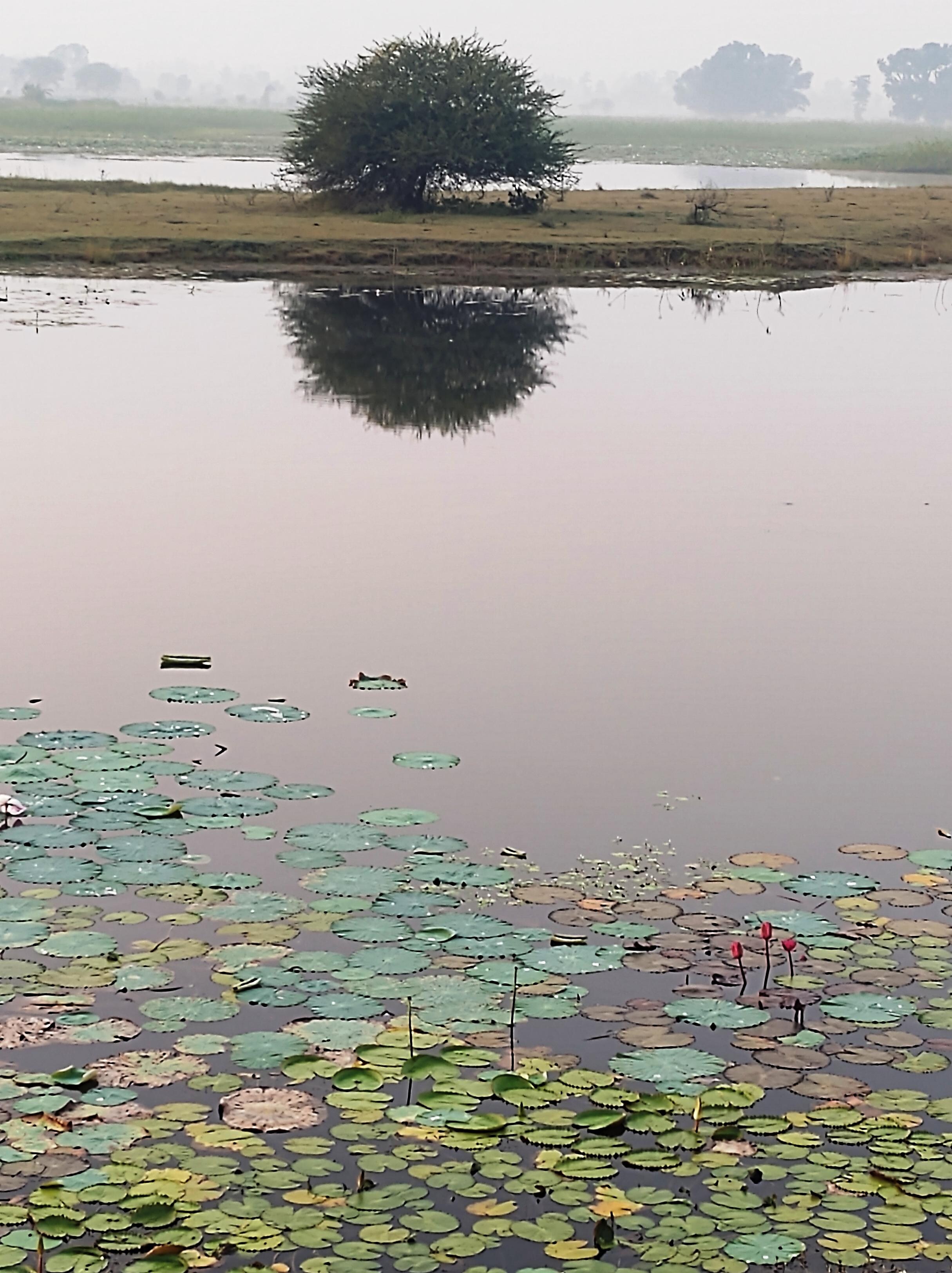 Ajinkya Jungle Lake Krushi Paryatan - Tap to explore photos