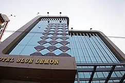 Blue Lemon