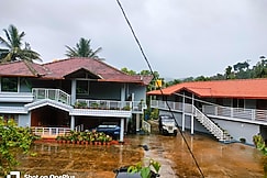 Jungle Fowl Coorg, Coorg