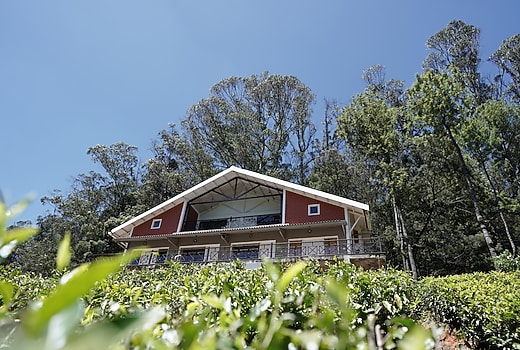 Tea Leaf Stays by Brown Tree Resorts