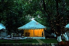 Gir Orchid Resort, Sasan Gir