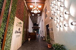 Playsales Ecostay, Vijay Nagar, Indore