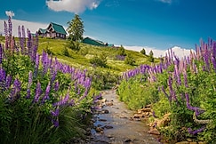 Gulmarg Woods by Stay Pattern - Gondola, Gulmarg