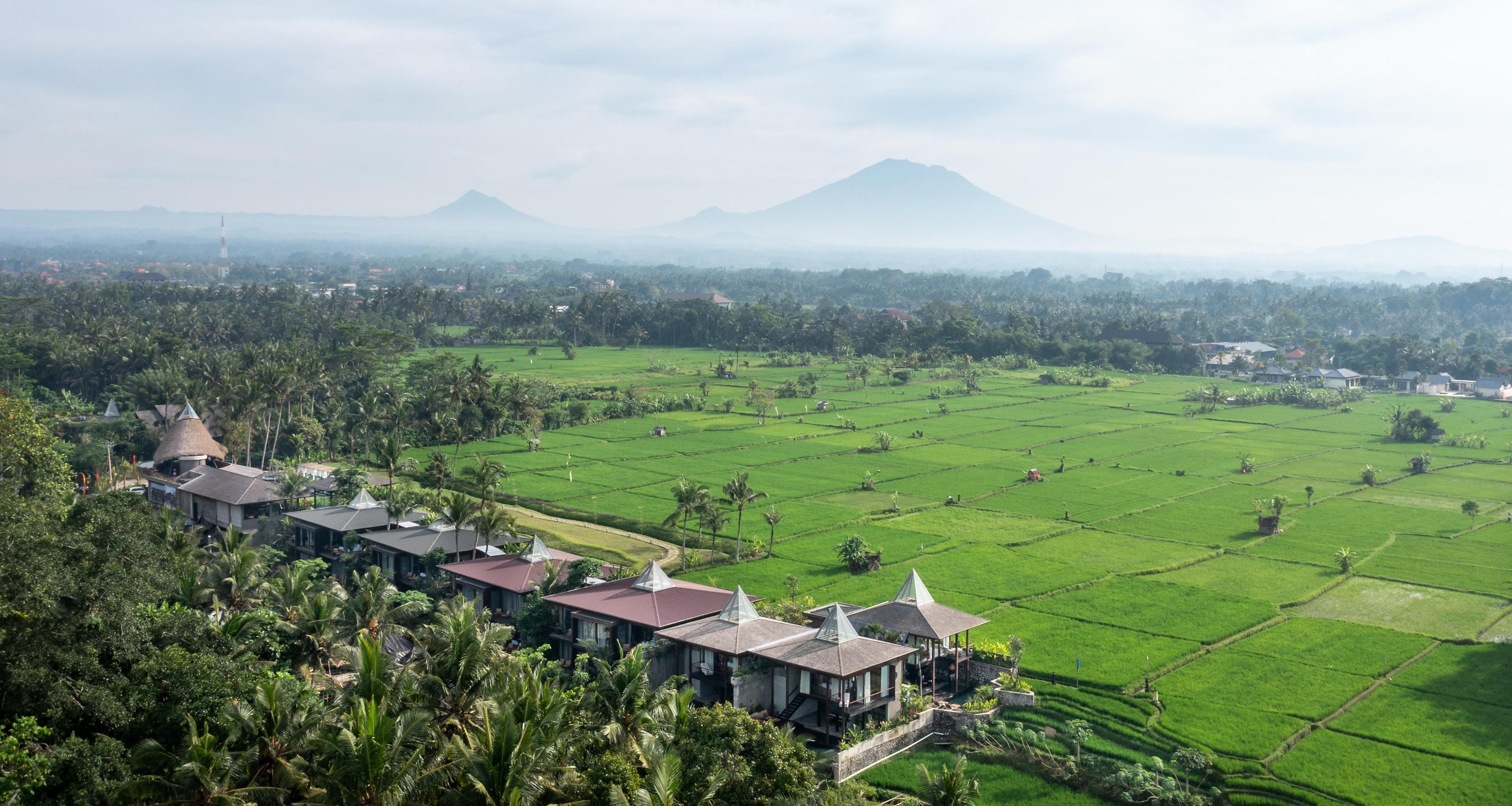 Gdas Bali Health and Wellness Resort - Tap to explore photos
