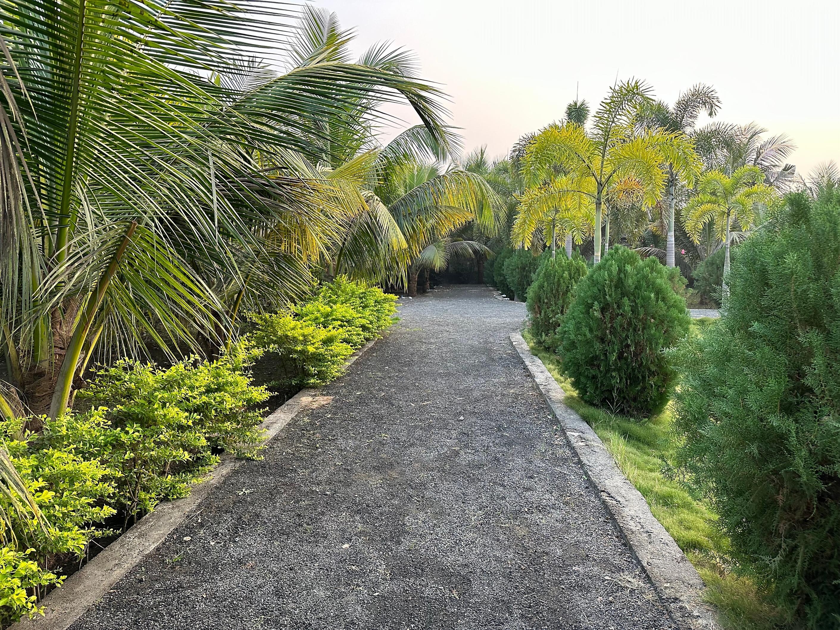 Mohini Farm house - Tap to explore photos