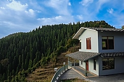 The Himalayan Deodar, Kanatal