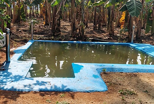 HIDEAWAY FARM STAY HAMPI