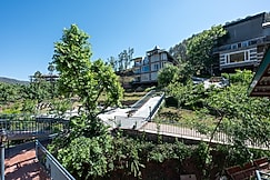 Tethys Himalaya Resort and Spa, Kasauli, Pachhad