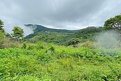 Pepper Woods Homestay, Yercaud