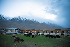 Saser Scenic Pangong | Lake View Cottage with Stargazing Experience, Pangong