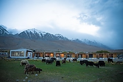 Saser Scenic Pangong | Lake View Cottage with Stargazing Experience, Pangong