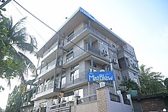 The Mist Blew, Sonari