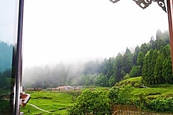 NV Anjali Homestay Darjeeling, Darjeeling