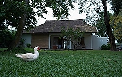 Cottage 1