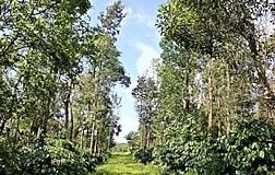Outdoors