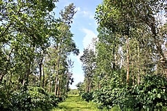 Nikhara Estate and Resort Sakleshpura, Alur, Karnataka
